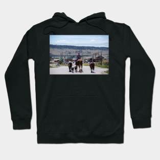 Woman Riding Horse With 3 Dogs and 2 Horses Hoodie